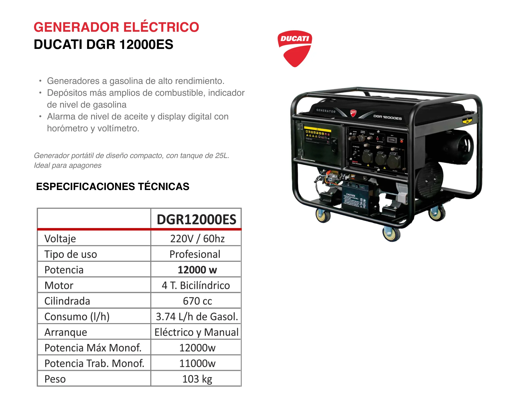 Generador Ducati DGR12000ES 220V 60HZ - DGR12000ES - Imagen 4