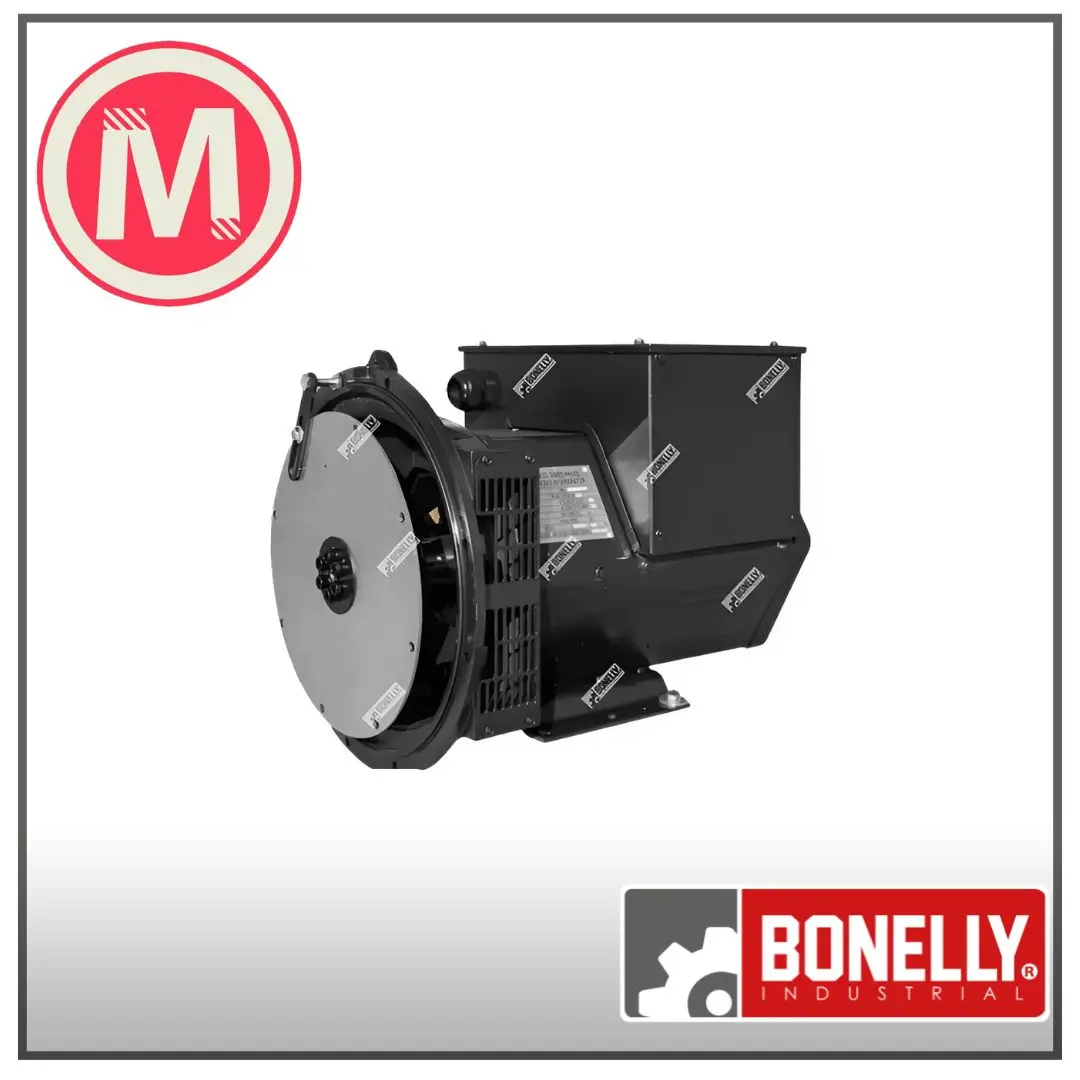 Dinamo Trifásico Sin Escobillas 40kW 220V/380V – Bonelly