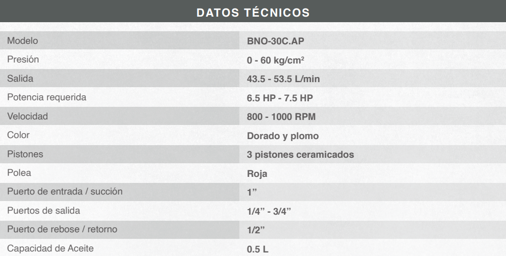 Cabezal de Hidrolavadora Heavy Duty 60 bar BNO-30C.AP
