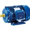 Motor Trifásico en Baja Potencia 150HP Azul BT315S-4